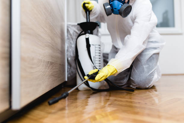 Best Ant Control Services  in Harriman, NY