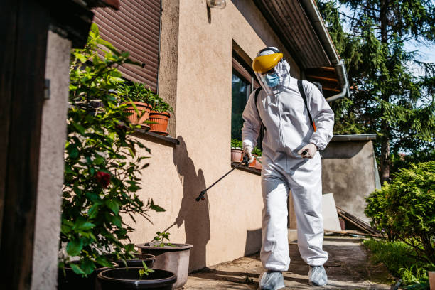 Best Best Pest Control Companies  in Harriman, NY