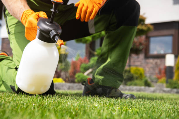 Best Residential Pest Control  in Harriman, NY