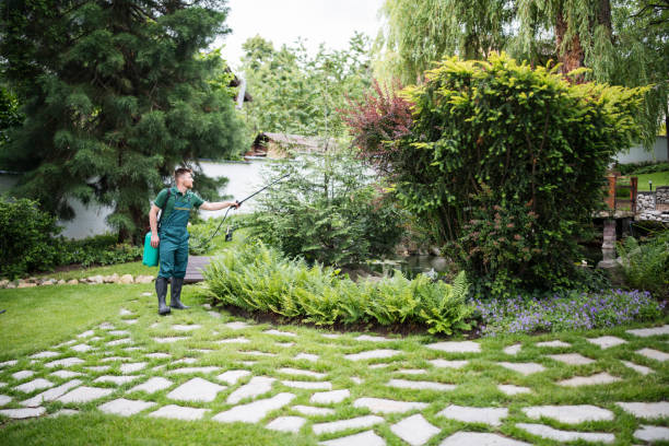 Best Mosquito Control Services  in Harriman, NY
