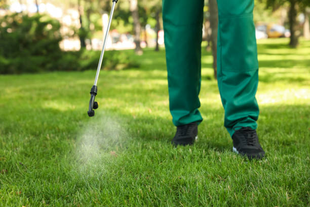 Best Pest Prevention Services  in Harriman, NY