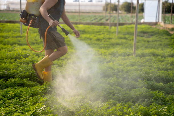 Best Local Pest Control Services  in Harriman, NY