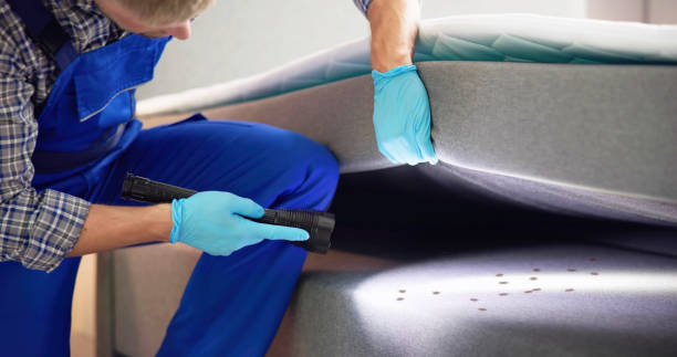 Best Wasp Removal Services  in Harriman, NY