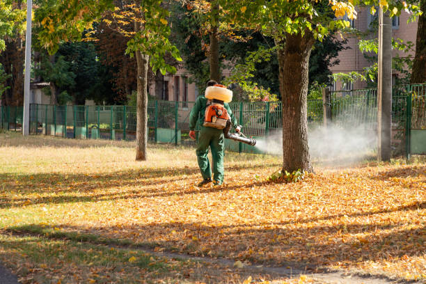 Best Flea Control Services  in Harriman, NY