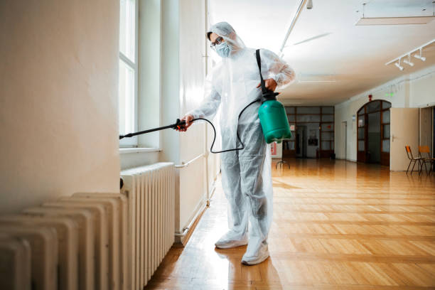 Best Emergency Pest Control  in Harriman, NY